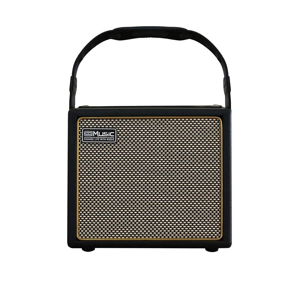 Amazon.com: Acoustic Guitar Amplifier, 30 Watt Bluetooth